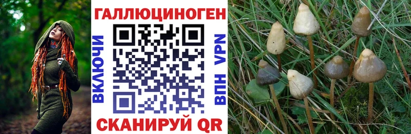 даркнет официальный сайт  Буй  Галлюциногенные грибы мухоморы  наркотики 